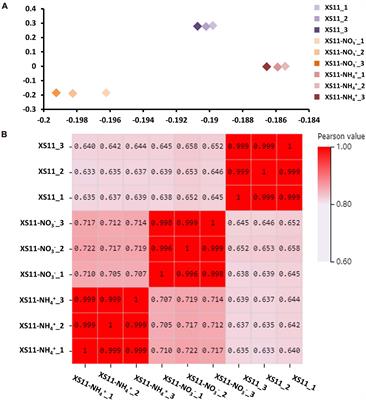 Transcriptome Variations in Verticillium dahliae in Response to Two Different Inorganic Nitrogen Sources